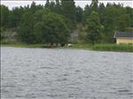 Sweden 2007-08 222